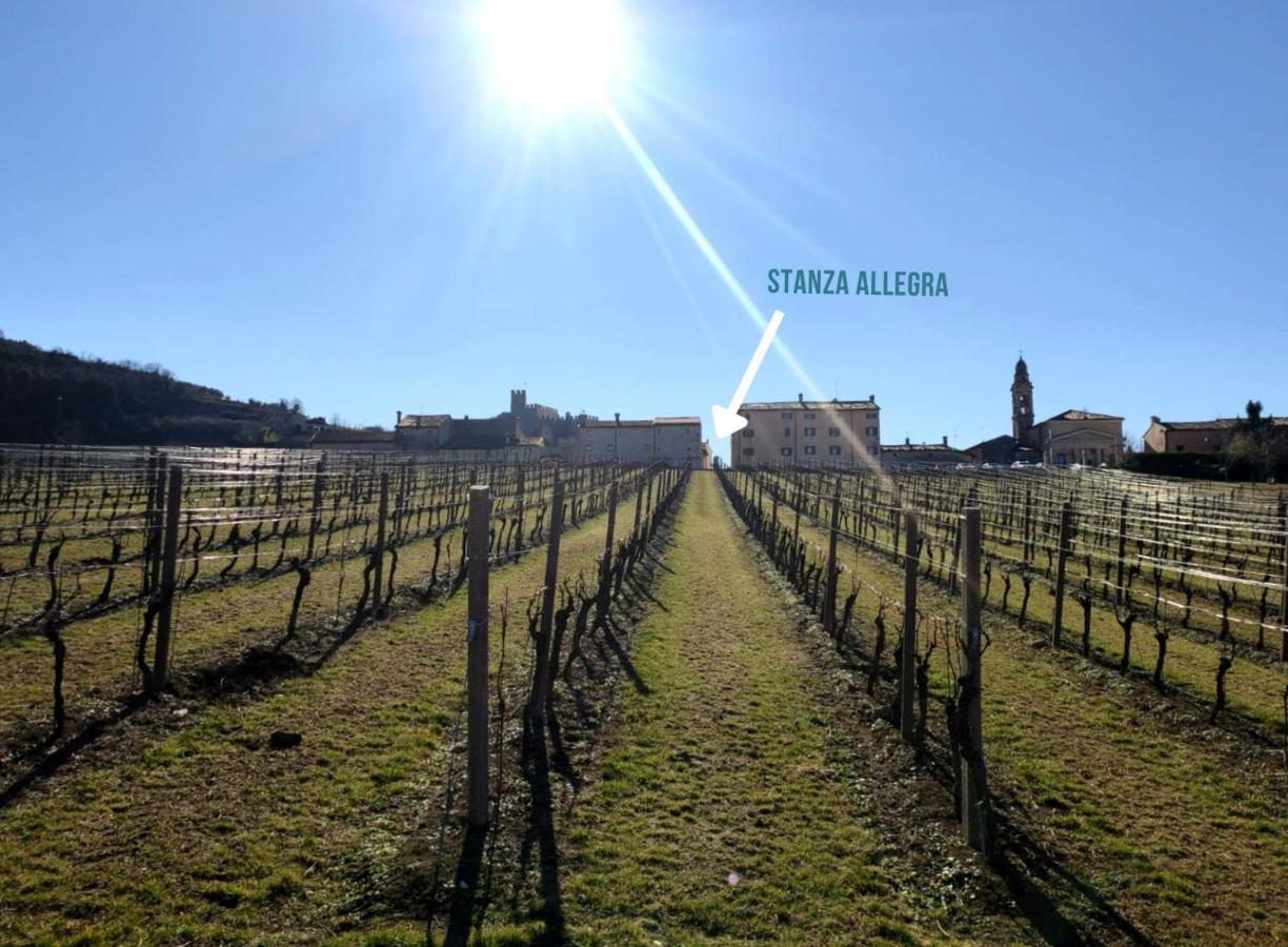 Stanza Allegra Soave المظهر الخارجي الصورة