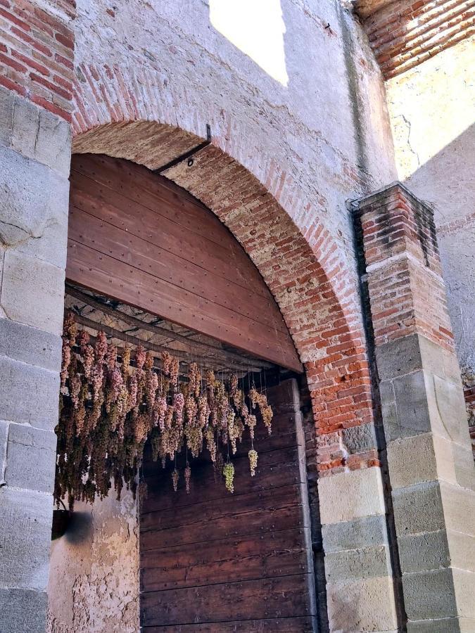 Stanza Allegra Soave المظهر الخارجي الصورة
